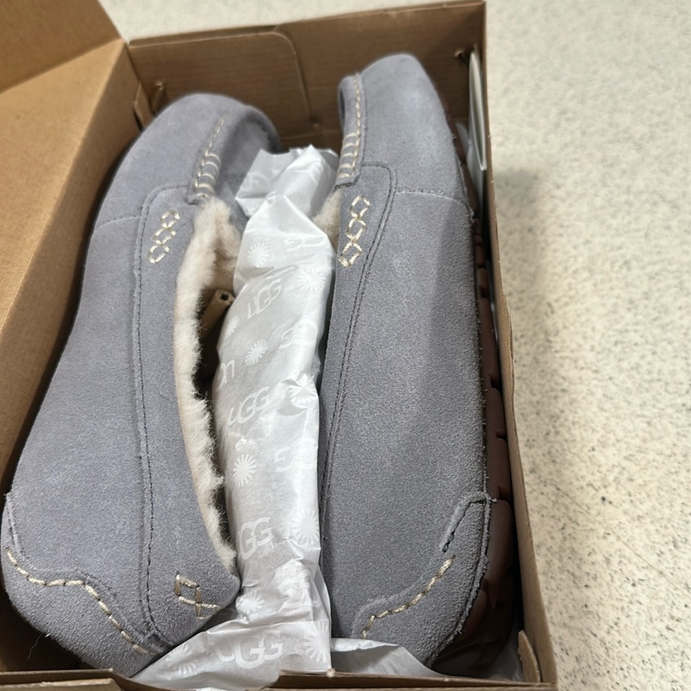 Ugg w Ansley size 8 brand new in box
